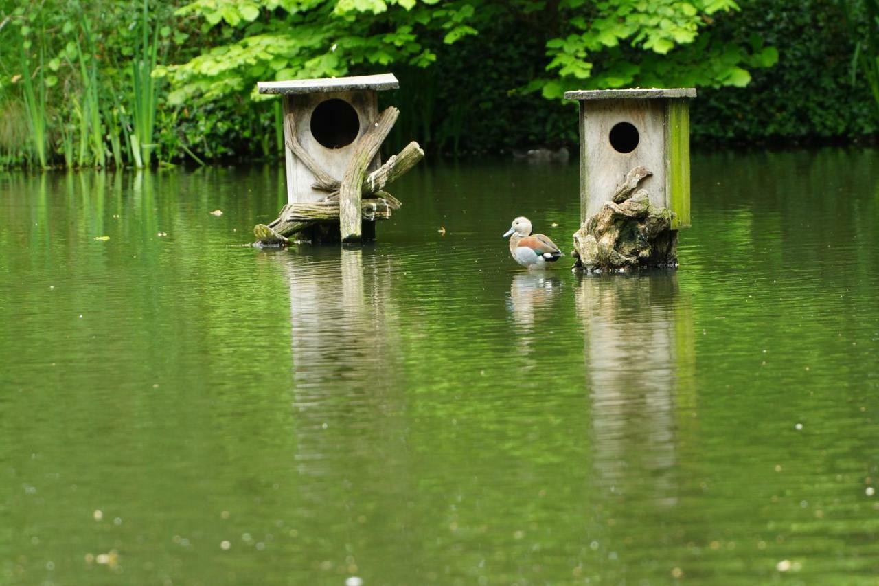 Gaestewohnung Hardinghaus Am Teich 워렌도르프 외부 사진