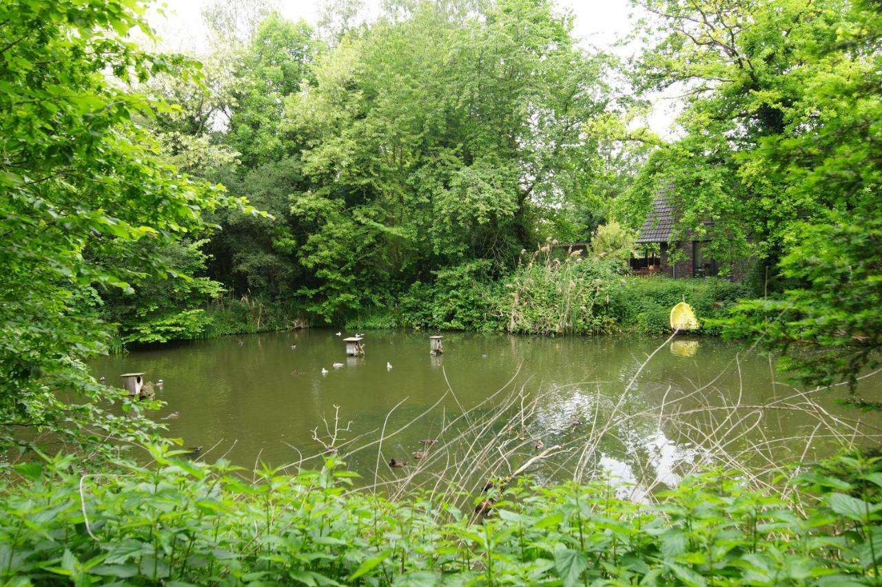 Gaestewohnung Hardinghaus Am Teich 워렌도르프 외부 사진
